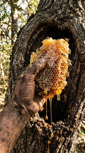 1695f1b041ec.jpg