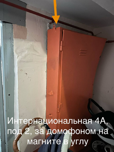 IMG 9171.jpg