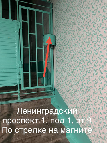 IMG 9173.jpg