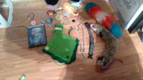 IMG 20260307 124402.jpg