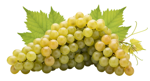 c6153d15648b.png