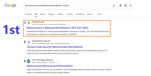 Ransomware and Malware Remediation Tampa 1st.png