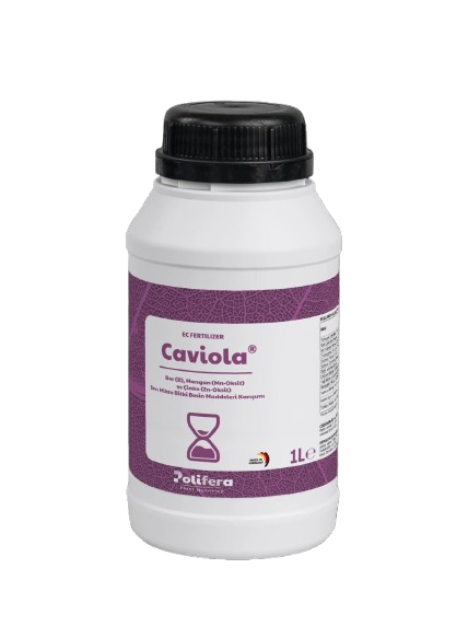 3410d8a9225d.png