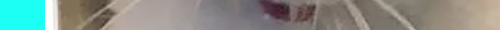 cat8CHANNEL 6.png