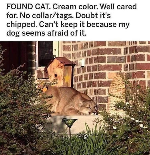 648538785 122172556022887089 5474025650503992740 n.jpg