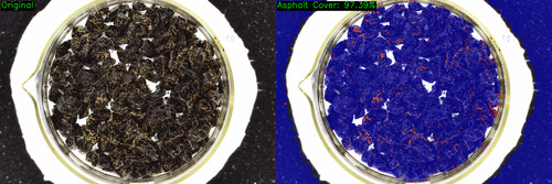 DSC 0424 comparison.jpg