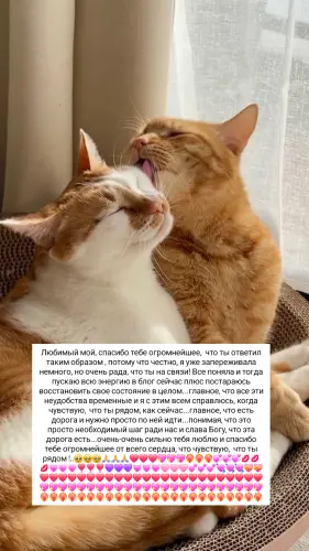 IMG 20260307 154118 519.webp
