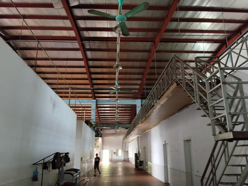 IMG 20251011 083426 Copy.jpg