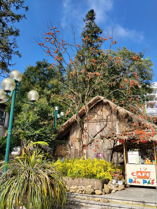 IMG 20251012 090722.jpg