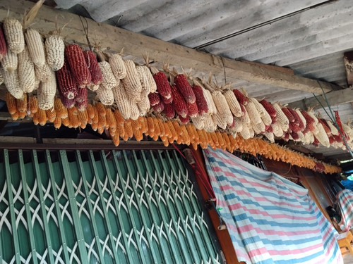 IMG 20251011 165359.jpg