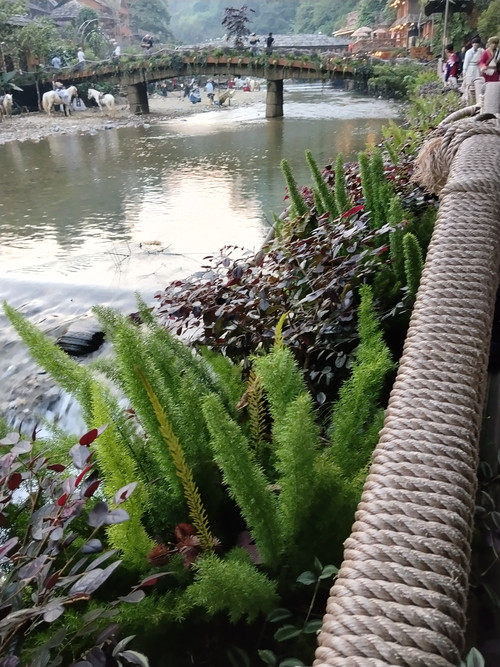 IMG 20251011 173704.jpg