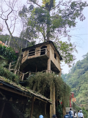 IMG 20251011 173256.jpg