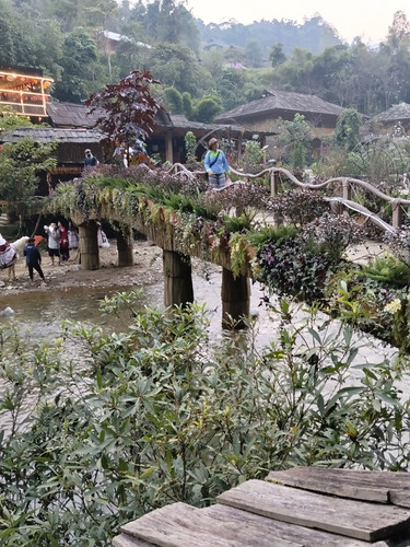 IMG 20251011 174033.jpg