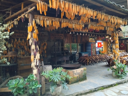 IMG 20251011 174225.jpg