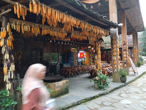 IMG 20251011 174232.jpg