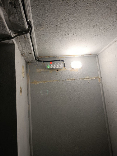 4346.jpg