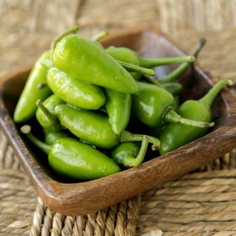 68 bullet chilli seed hybrid hot.jpg