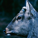 3136ef2f334b.png