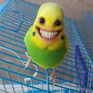 FebioEv8pcxBQxSlkhbf7 hwme7 DjZP7OlzQkFPRImjKrl6PsZygPqpIcOXRHO1Y2lwquygMviolcsMtSAKwhkUOXP Mf0MqMIp.jpg
