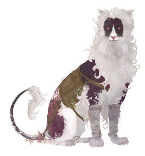 IMG 6979.png