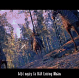 Facebook 75bcdf.gif