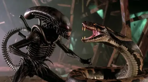 b12fe1bb 6b10 4c08 b243 bbd36c275568 .webp