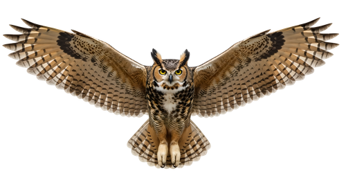 dbb2a8a61b59.png