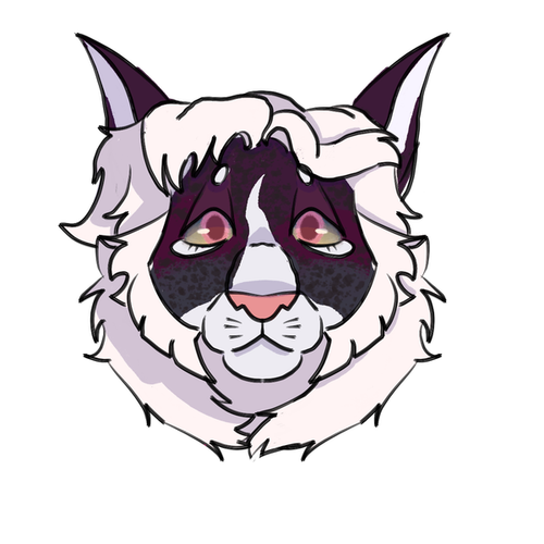 IMG 0558.png