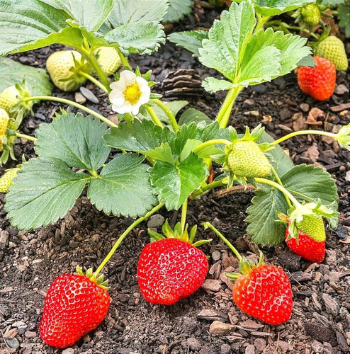 f639fb17 9d96 4e84 816c 26aef5312146.jpg