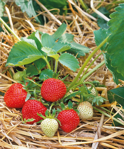 93ae3b65 07a4 474e bc63 9bfc9568da2a.jpg