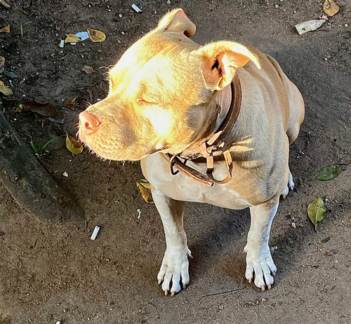 e0d3939c882d.jpg