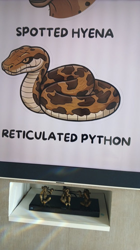 temp 1772884616232.jpg