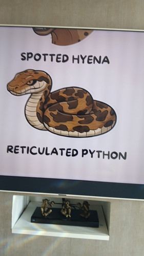 temp 1772884602895.jpg