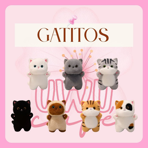 gatitos.jpg