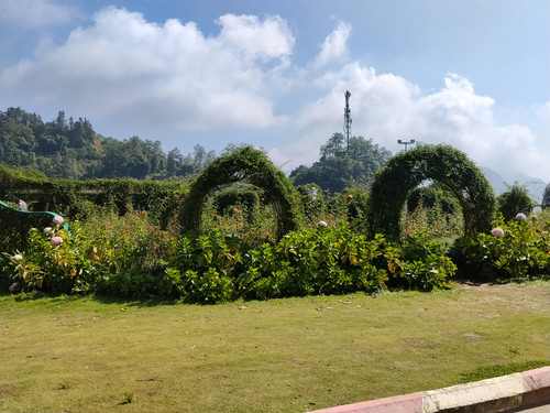 IMG 20251012 094008.jpg