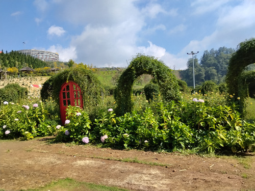 IMG 20251012 094028.jpg