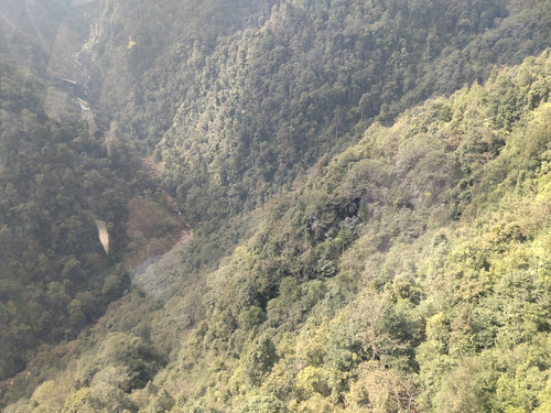 IMG 20251012 101040.jpg