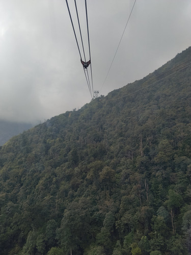 IMG 20251012 101440.jpg