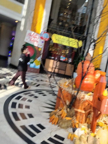 IMG 20251012 091926.jpg