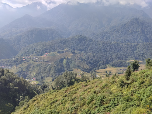 IMG 20251012 093512.jpg