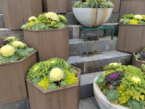 IMG 20251012 105320.jpg