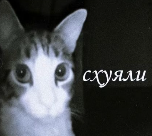 {149FC1BF 7D26 470F A4B3 3F725B74F4D3}.png