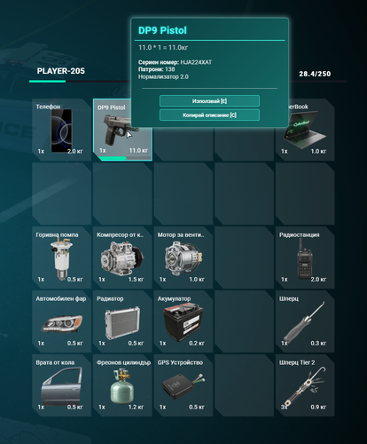 FiveM GTAProcess z0RmN8wzIS.png