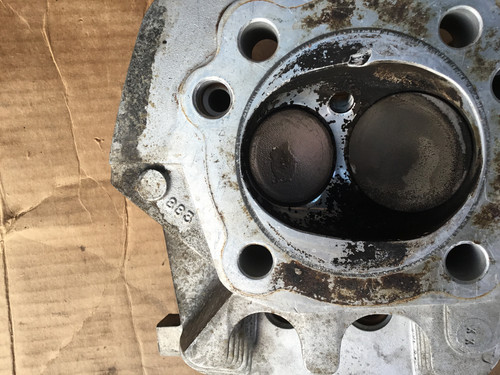 1F2C0FFE 181F 412B 83C8 9558E65F667D.jpg