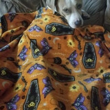 imageedit 9 6217743237