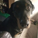 imageedit 11 7273301395