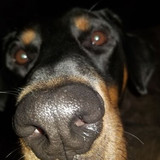 imageedit 13 2728120276