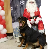 imageedit 6 8084859575