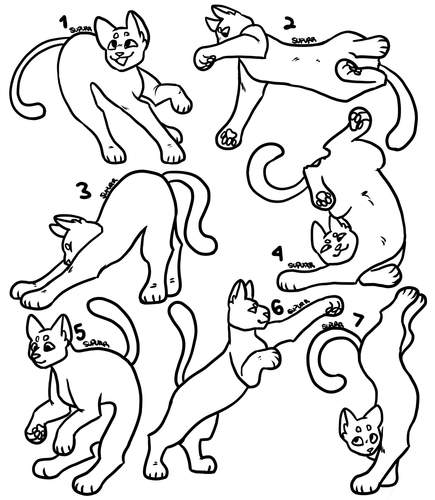 Untitled62 20220823131331