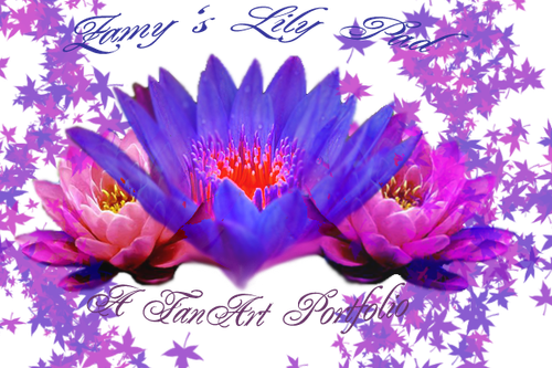 Zamys portfolio zpsv3hojmeq